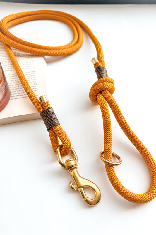 Leiband - Brun Doré Potiron