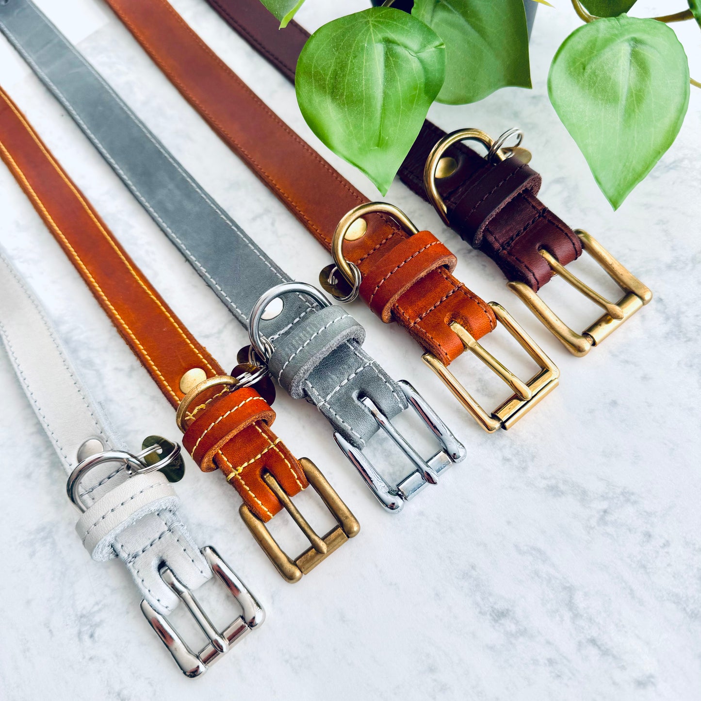 Halsband Leder Cognac-Geel