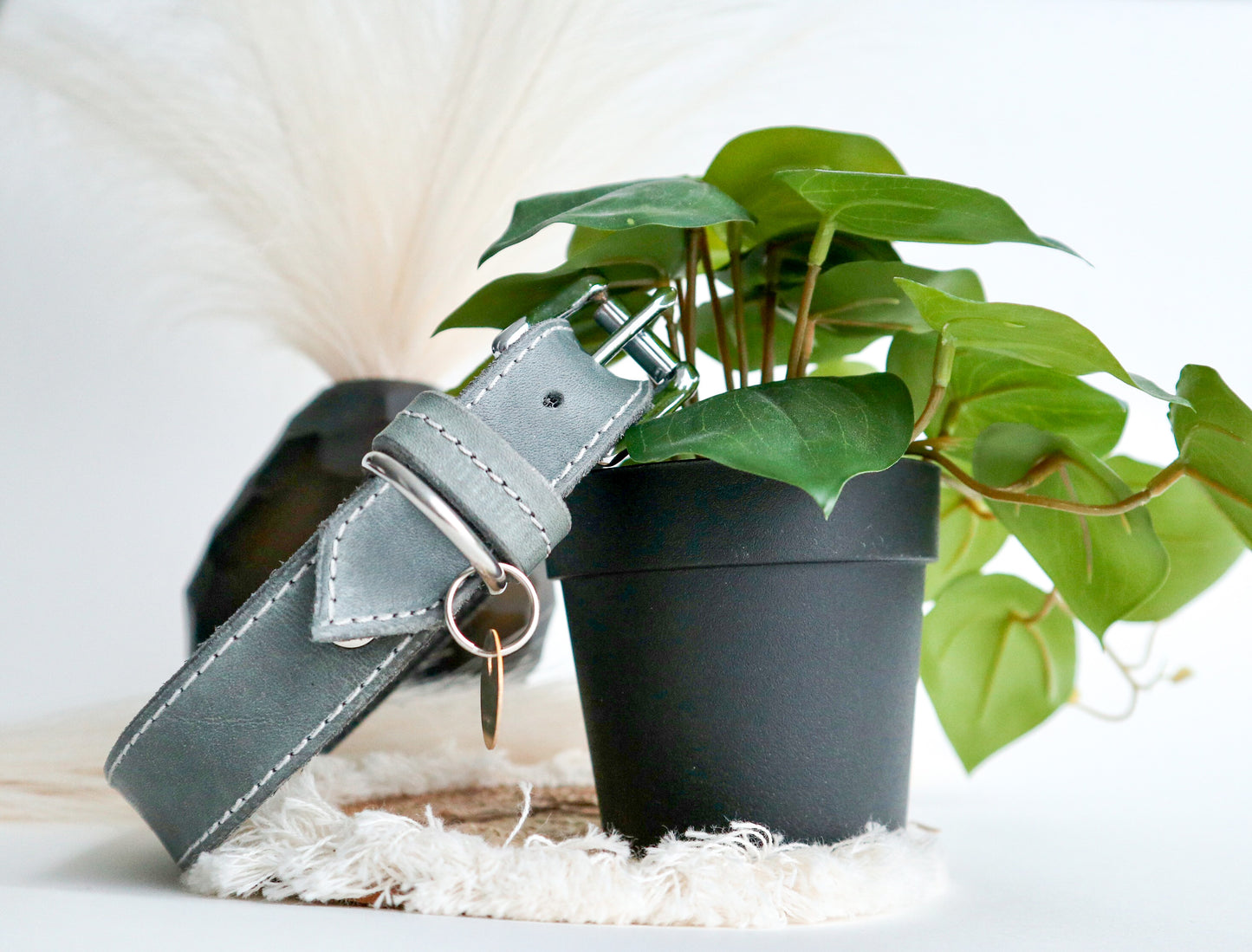 Honden halsband grijs