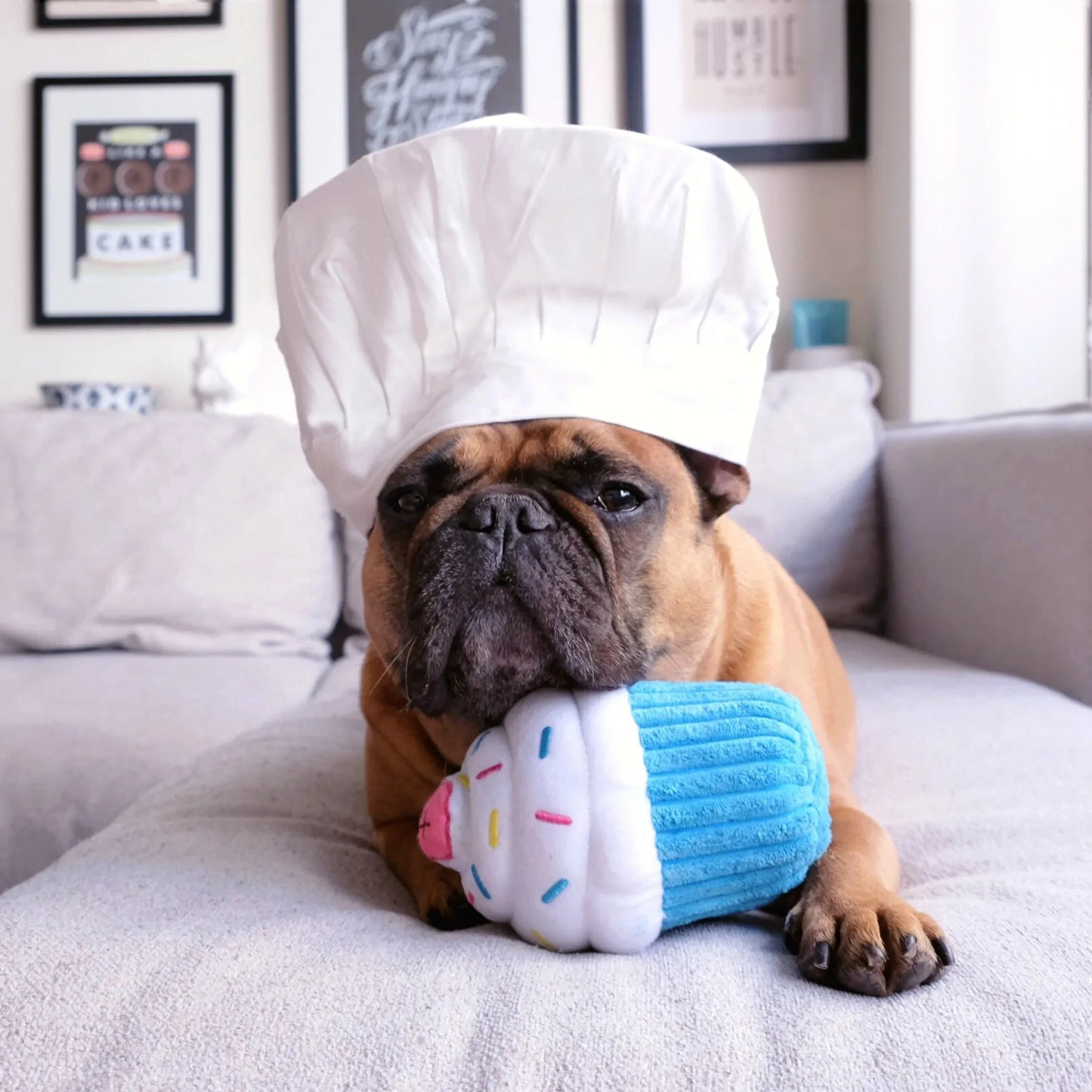 Blue cupcake
