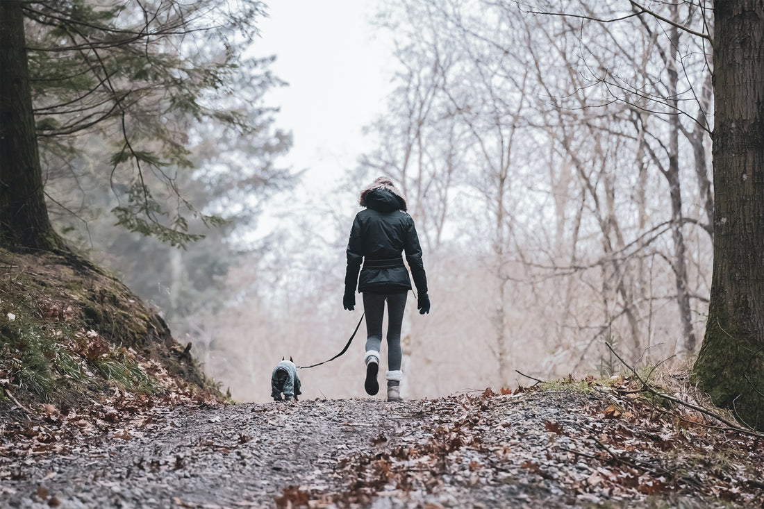 Ga eens voor een snuffelwandeling