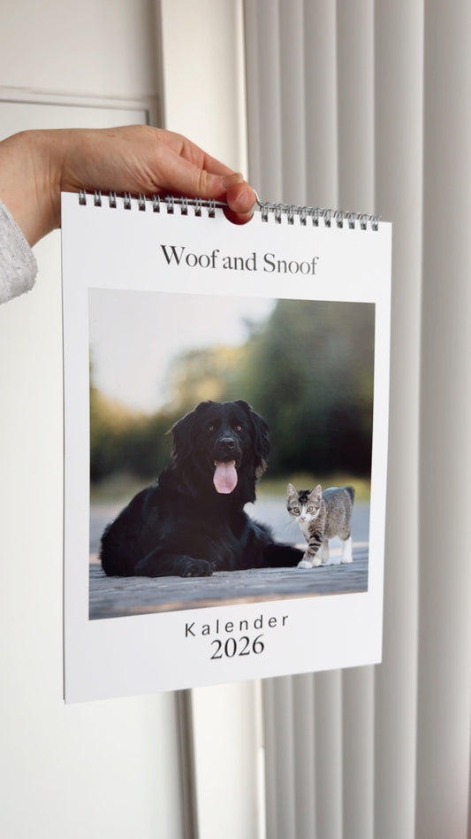 Honden fotokalender 2026
