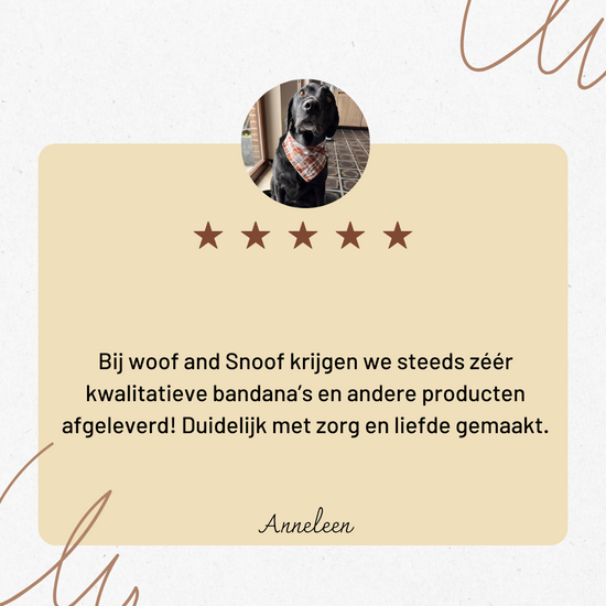 Afbeelding zonder ALT