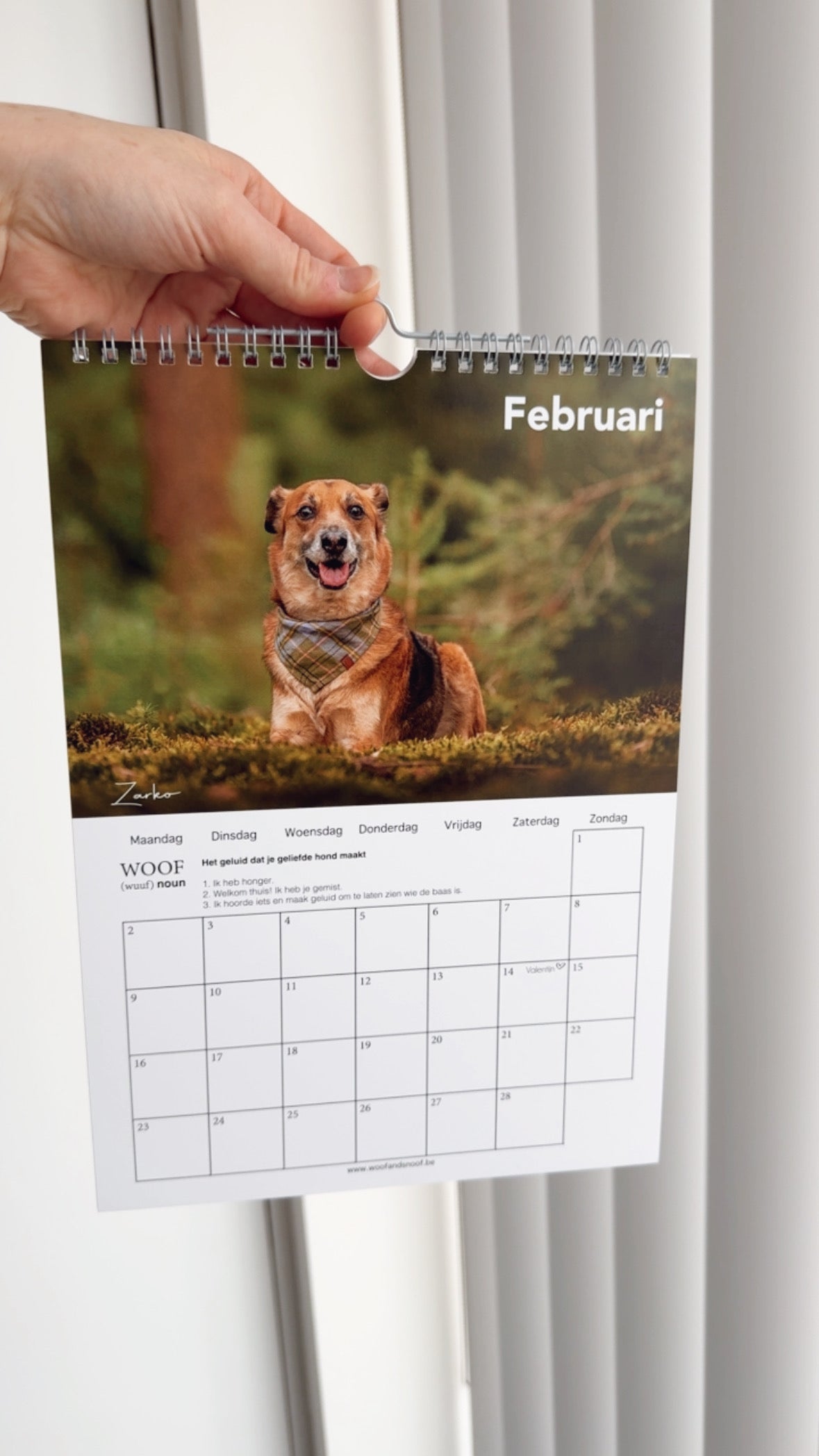 Honden fotokalender 2026
