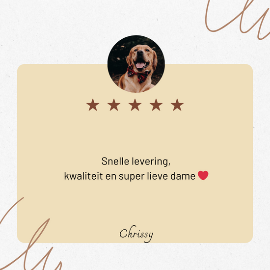 Afbeelding zonder ALT