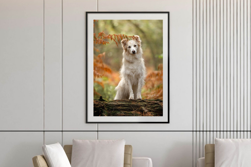 Woof and Snoof wall art