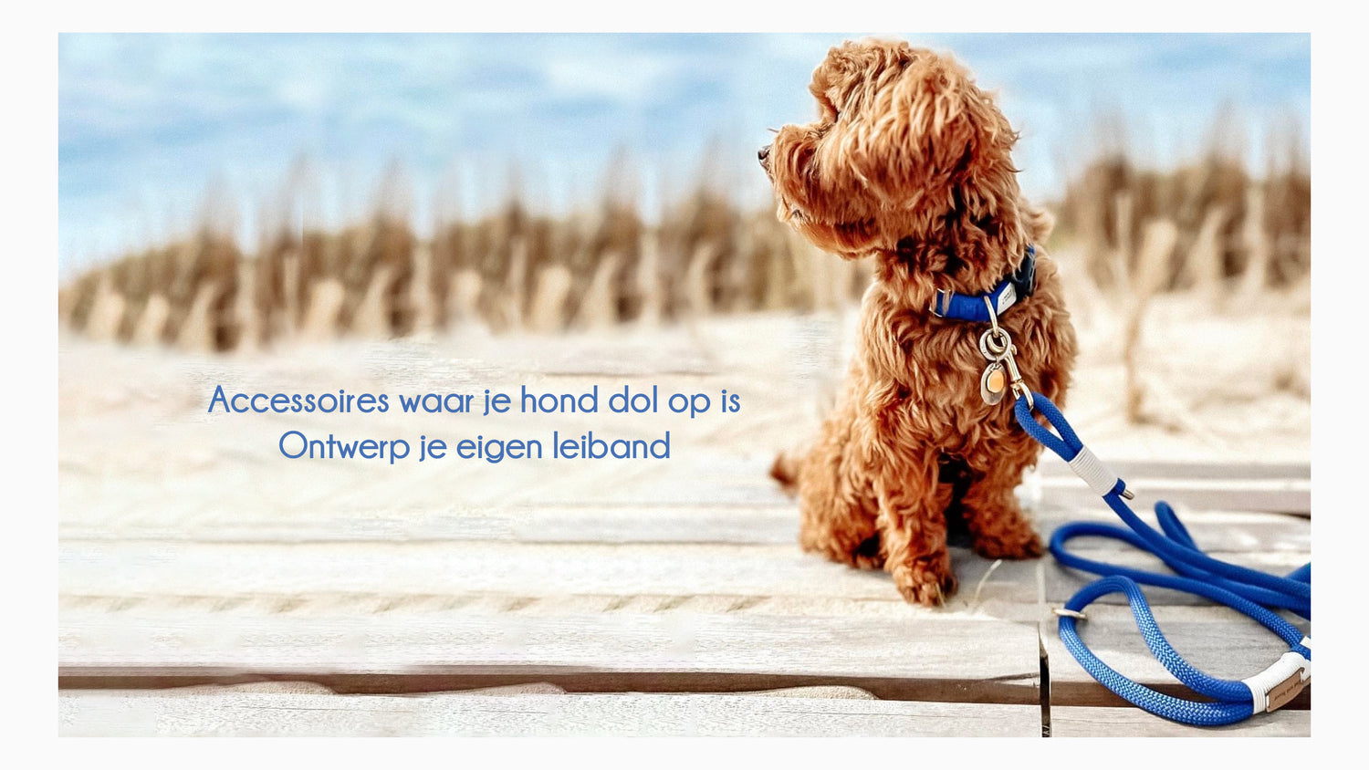 Afbeelding zonder ALT