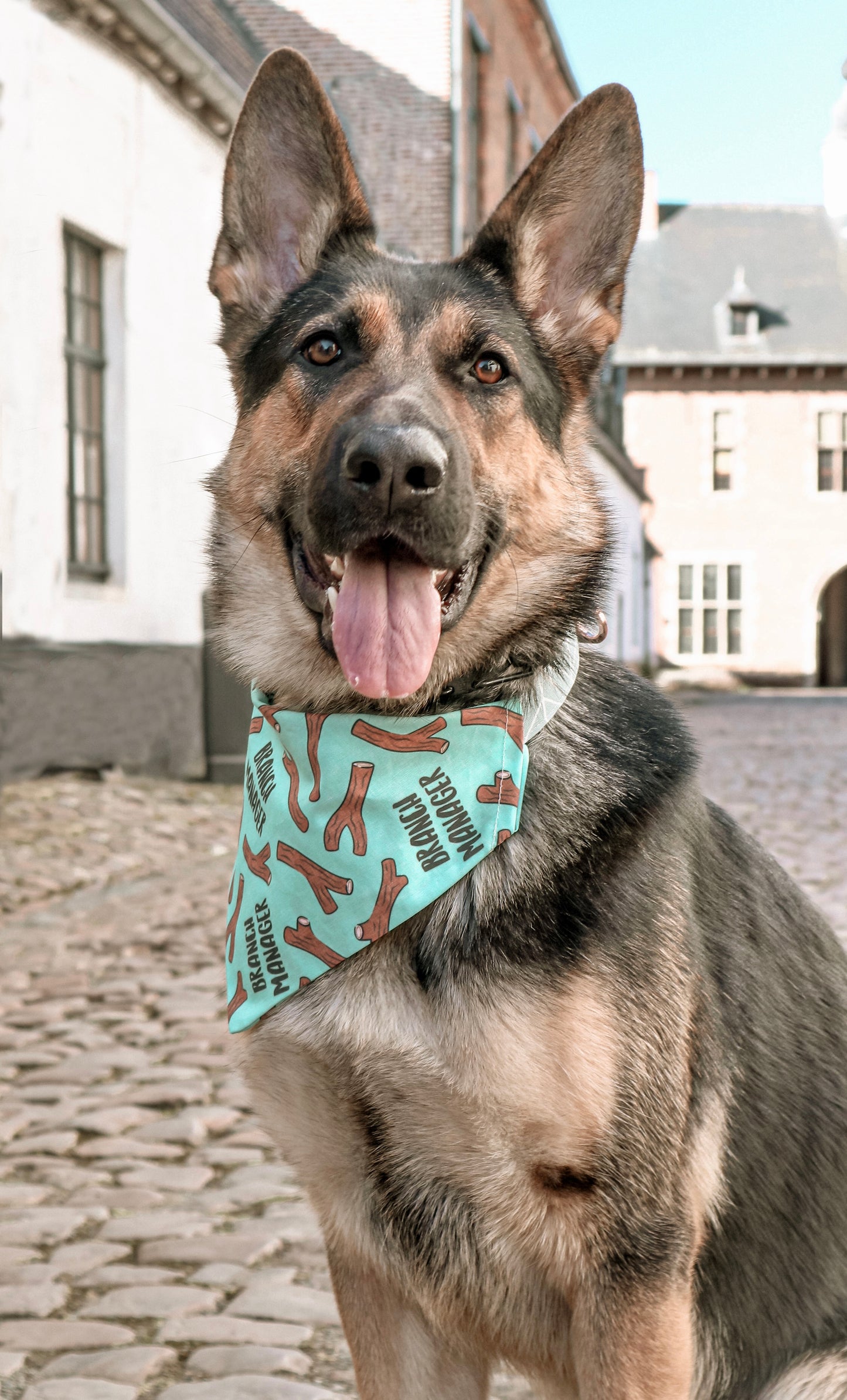 Bandana Branch manager