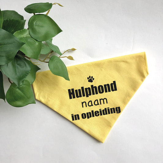 Bandana - Hulphond met naam